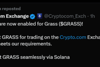 grass crypto